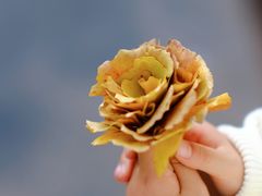 -杭州城北体育公园
