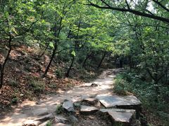 -鬼笑石后山停车场