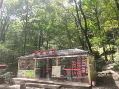 -牛背梁国家森林公园