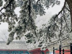 -妙峰山风景名胜区