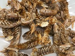 -睿柏云酒店-餐厅