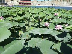 android_upload_pic-九华山酒店温泉