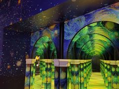 -天津梵高星空艺术馆(天河城旗舰店)
