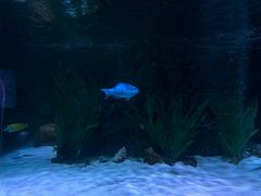 -沈阳海洋探索中心