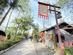 -合肥滨湖国家森林公园