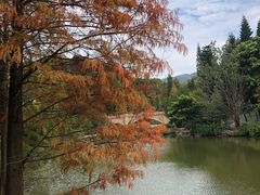 -云溪植物园