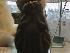 -平行世界·猫咖(首经贸店)