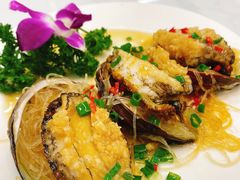干煎鲍鱼-阿里元老宋海鲜大排档(明发店)