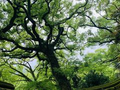 -普陀山风景名胜区-法雨禅寺