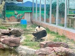 -苏州太湖国家湿地公园