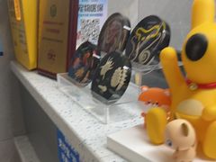 -半岛宠物医院24小时(白果林店)