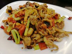 香辣八爪鱼-双海酒店·海鲜家常菜(南戴河店)