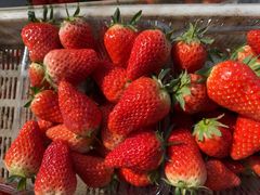 -东方鼎信农副产品交易中心