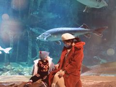 -华夏文旅海洋公园