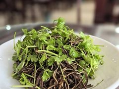 -邢家锅贴老店·非遗·开封菜(金明广场店)