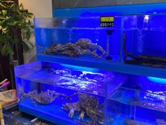 水产区-臻悦海宴.家宴(奥体中心店)
