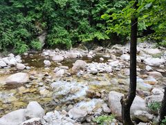 -青峰峡国家森林公园