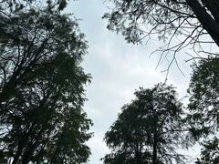 -渌洋湖湿地公园