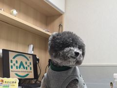 -谐和益家动物医院·免疫绝育·血液透析·宠保定点医院(高新伊藤分院)