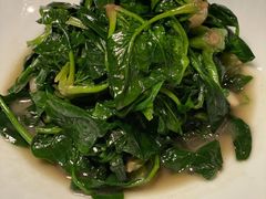 清炒土菠菜-同庆楼(金宝汇店)