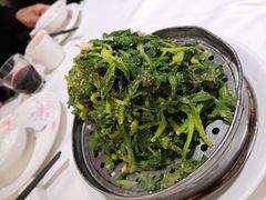 蒜泥蒸野菜-金春禧·鲁菜海鲜(延吉路万达店)