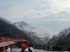 -栾川竹海野生动物园