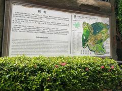 -海南槟榔谷黎苗文化旅游区