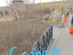 -大同古城墙