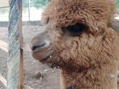 -猎鹰谷实弹射击俱乐部
