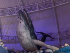 -烟台海昌鲸鲨海洋公园