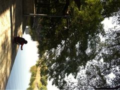iphone_upload_pic-小洲村