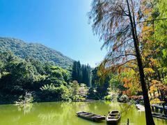 -深圳仙湖植物园