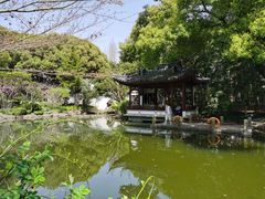 -秋霞圃