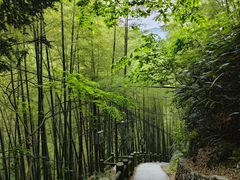 -藏龙百瀑风景区