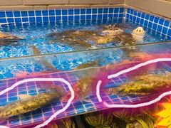 -田水湾丨地道安徽菜(文化路店)