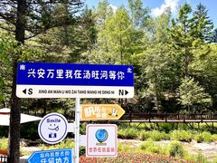 -汤旺河林海奇石景区