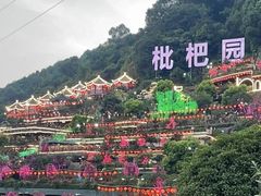 -枇杷园食为鲜火锅(南山店)