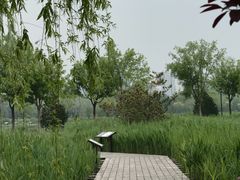 -永定河休闲森林公园