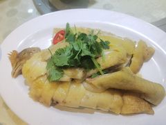 湛江白切扇鸡-茂港柏香(侨港路店)