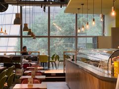 -油梨树AVOCADO TREE(望京店)
