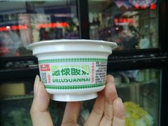 -德禄酸奶(莫家街店)
