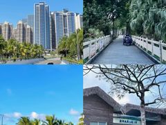 -中澳友谊花园
