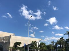 -八婆婆烧仙草(曾厝垵店)