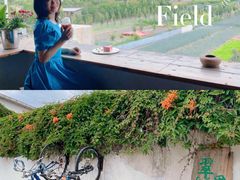 -翠田Green Field Kitchen