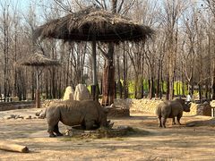 -北京野生动物园