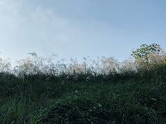 -乌龙涧铁道铁轨景