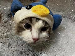 -听TA说宠咖·宠物生活馆(天韵水岸店)