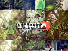 -素山寺森林公园