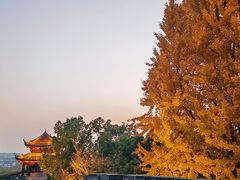 -虞山城墙