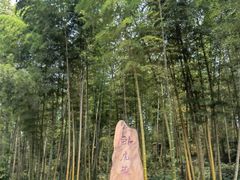 -蜀南竹海景区